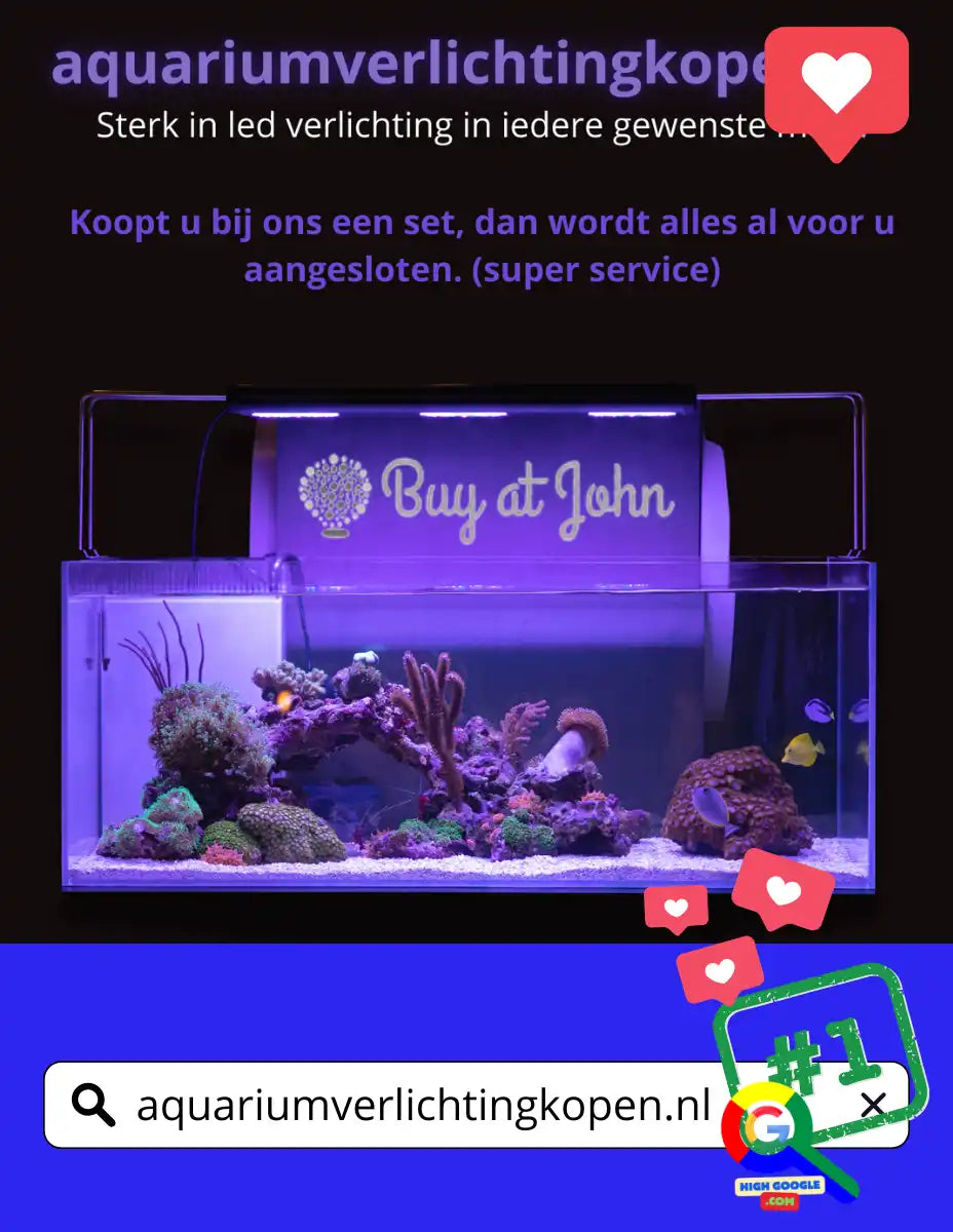 Verlichte aquariumtank met paarse verlichting en koraalrifdecoraties.